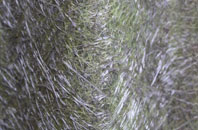 Belnie fibreglass roof work