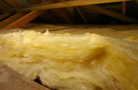 Belnie pitch roof insulation