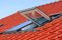 Belnie roof window